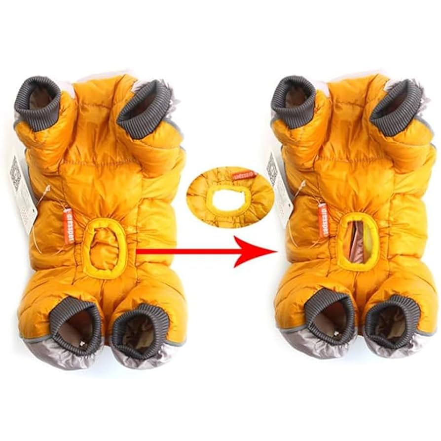 Warme Winterjas voor Kleine Honden Teddy Stijl Dons katoen Waterafstotend & Comfortabel