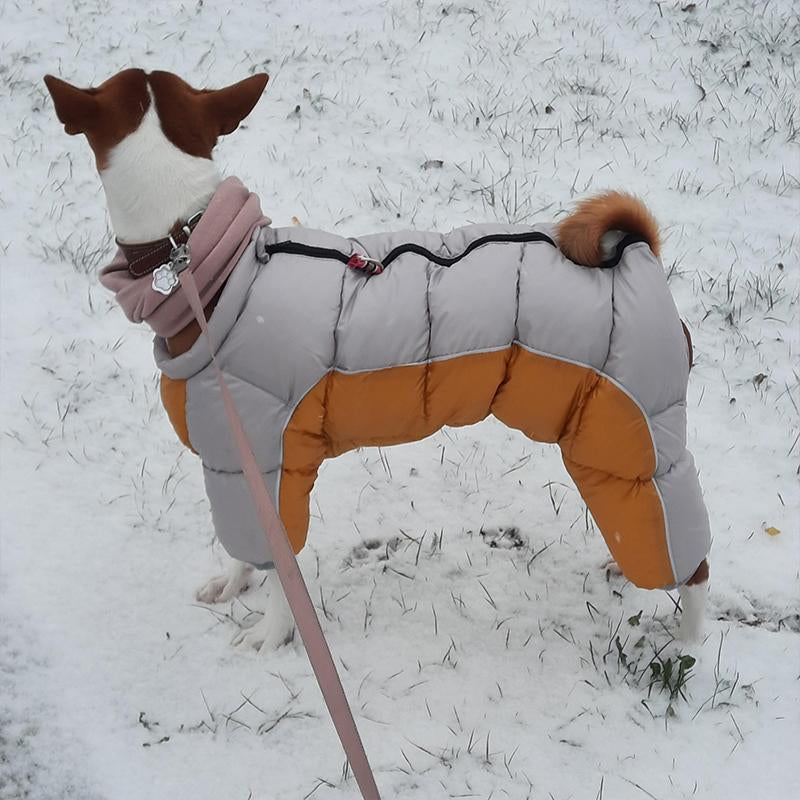 Warme Winterjas voor Kleine Honden Teddy Stijl Dons katoen Waterafstotend & Comfortabel