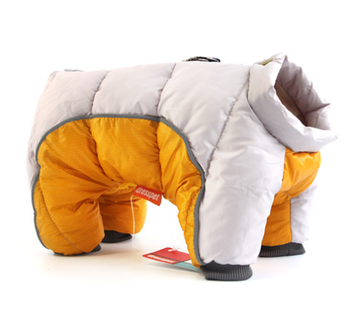 Warme Winterjas voor Kleine Honden Teddy Stijl Dons katoen Waterafstotend & Comfortabel